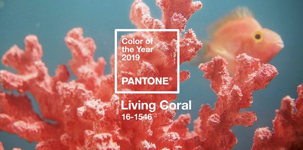 Usando a Cor do Ano – Living Coral - Blog Danny Cosméticos