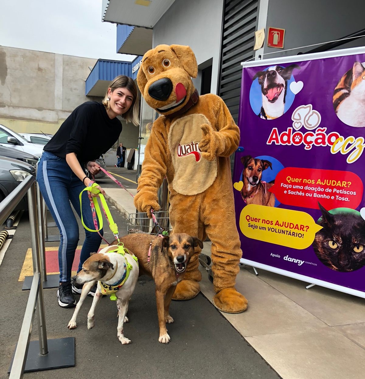 Instituição de caridade promove adoção de animais com personagens de Star  Wars